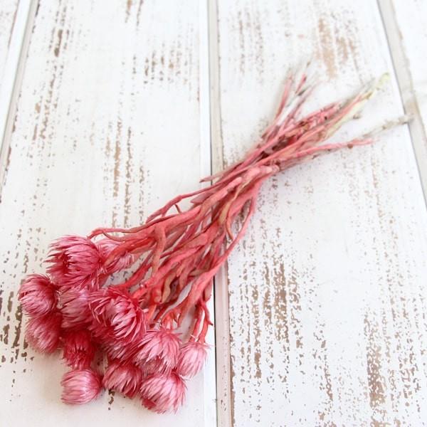 y|Cg5{ 11/03 09:59z hCt[ ԍ o Vo[fCW[ Cgbh Vo[f[W[ ԍ f ޗ p[c u[P f