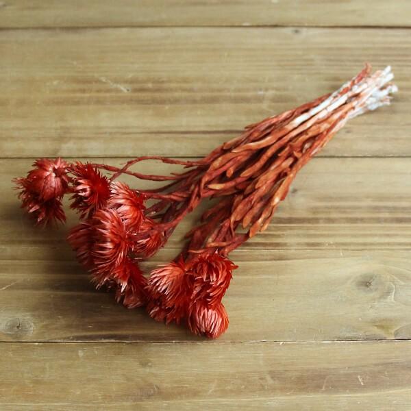 hCt[ ԍ o Vo[fCW[ AeB[Nbh Vo[f[W[ ԍ f ޗ p[c hCt[ XbO u[P f