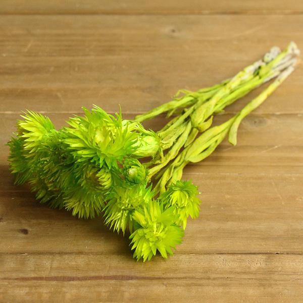 y|Cg5{ 11/03 09:59z hCt[ ԍ o Vo[fCW[ ᑐ Vo[f[W[ ԍ f ޗ p[c hCt[ f