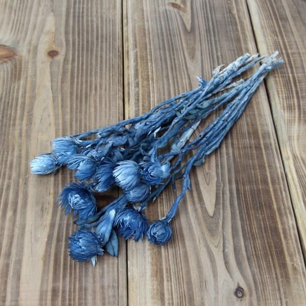 y|Cg5{ 11/03 09:59z hCt[ ԍ o Vo[fCW[ _[Nu[ Vo[f[W[ ԍ f ޗ p[c u[P f