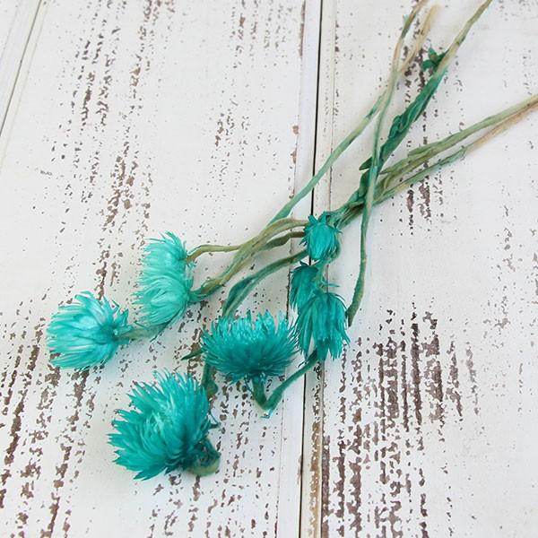 y|Cg5{ 11/03 09:59z hCt[ ԍ o Vo[fCW[ FCg Vo[f[W[ ԍ f ޗ p[c ԑ f