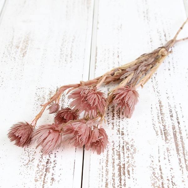 hCt[ ԍ o Vo[fBW[ Cg[ Fsꍇ܂ Vo[f[W[ ԍ f ޗ ԑ f