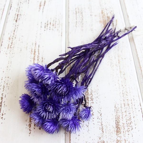 y|Cg5{ 11/03 09:59z hCt[ ԍ o Vo[fCW[ _[Np[v Vo[f[W[ ԍ f ޗ p[c ԑ f