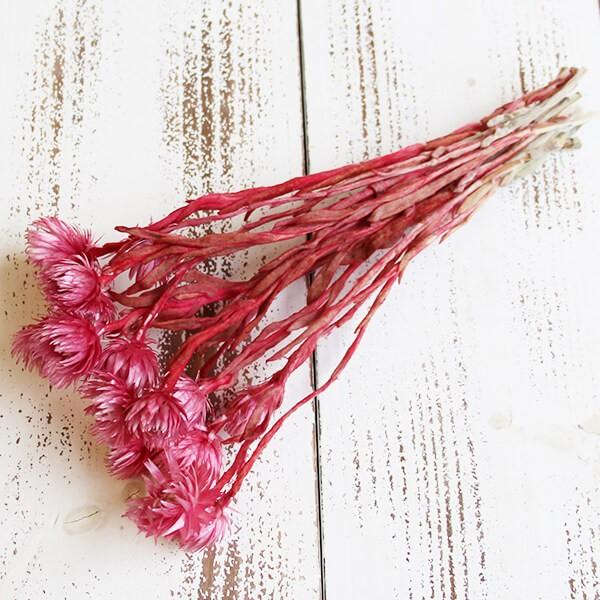 y|Cg5{ 11/03 09:59z hCt[ ԍ o Vo[fCW[ Yx[ Vo[f[W[ ԍ f ޗ p[c XbO f