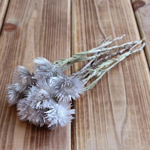 y|Cg5{ 11/03 09:59z hCt[ ԍ o Vo[fCW[ p[OC Vo[f[W[ ԍ f ޗ p[c ԑ f