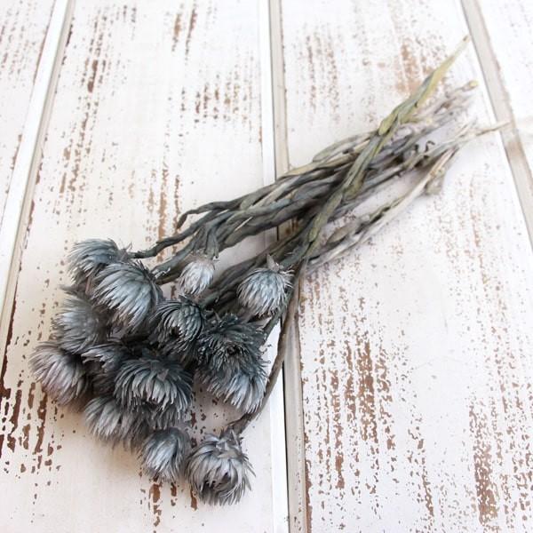 y|Cg5{ 11/03 09:59z hCt[ ԍ o Vo[fCW[ X[L[OC Vo[f[W[ ԍ f ޗ p[c  f