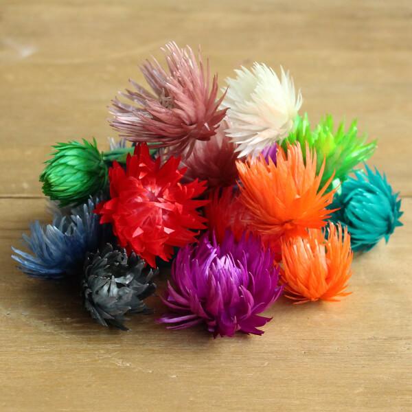 y|Cg5{ 11/03 09:59z hCt[ ԍ o Vo[fCW[wbh VbNJ[A\[g Vo[f[W[ ԍ f ޗ f