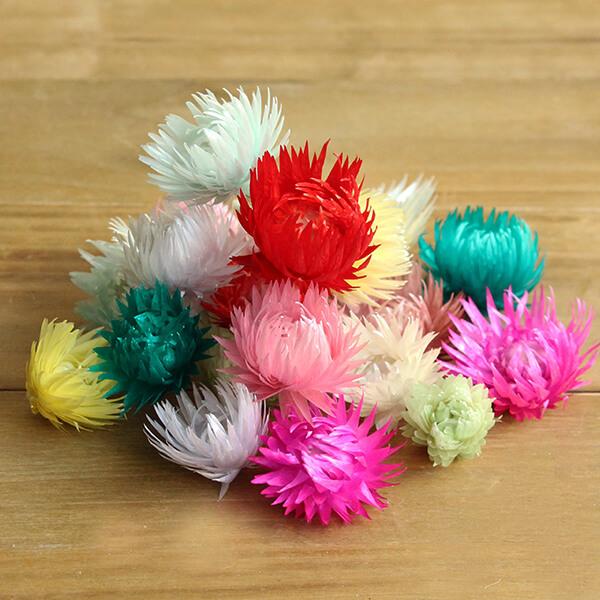 極美品　ハレ　デジタルフラワーシシシュウ　ボルドー 極美品 ハレ デジタルフラワーシシシュウ ボルドー - メルカリ