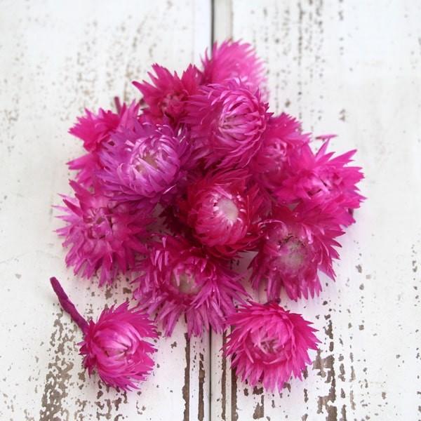 y|Cg5{ 11/03 09:59z hCt[ ԍ o Vo[fCW[wbh JrA Z Vo[f[W[ ԍ f ޗ p[c f