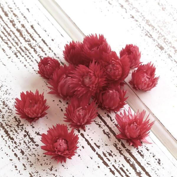 y|Cg5{ 11/03 09:59z hCt[ ԍ o Vo[fCW[wbh Cgbh Vo[f[W[ ԍ f ޗ p[c f