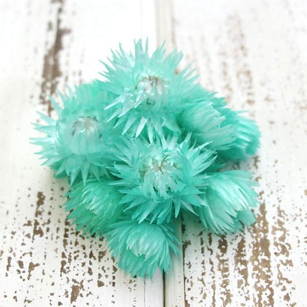 y|Cg5{ 11/03 09:59z hCt[ ԍ o Vo[fCW[wbh FCg Vo[f[W[ ԍ f ޗ ԑ f