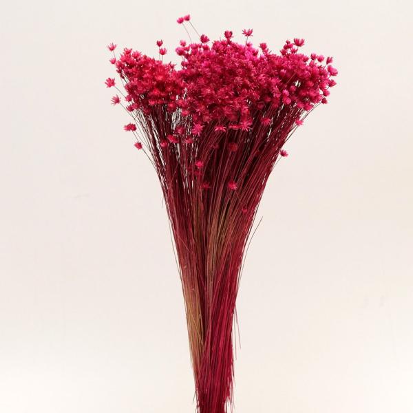 【商品仕様】全長約25~30cm花サイズ:約0.3~1cm【お伝えしたいこと】※花のサイズに個体差があったり、一部に折れている花や、取れている花が含まれる場合がございます。※植物の特性上、ステム部分に原料由来のワタ状のものが付着している場合...