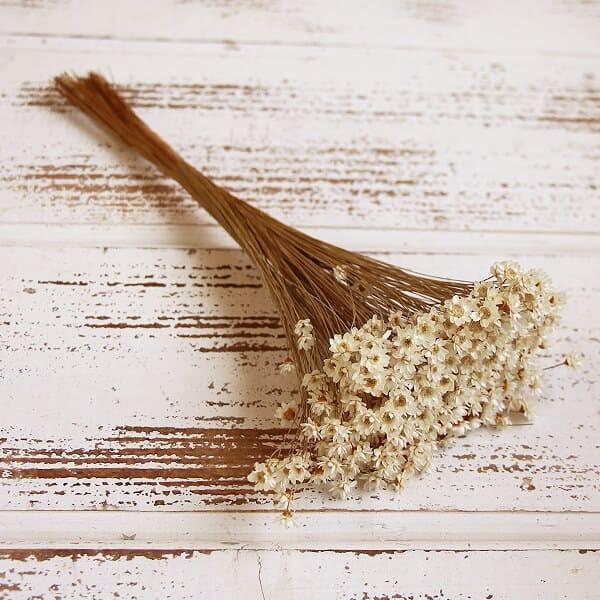 【商品サイズ】全長約25~35cm花径約0.5-1cm【お伝えしたいこと】※一部に折れている花や、取れている花が含まれる場合がございます。※1束中の花径に個体差がございます。※植物の特性上、ステム部分に原料由来のワタ状のものが付着している場...