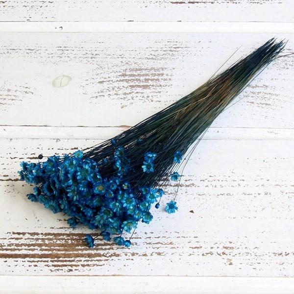 【商品サイズ】全長:約30cm花径:約0.5~2cm約10g【お伝えしたいこと】※花のサイズに個体差があったり、一部に折れている花や、取れている花が含まれる場合がございます。※植物の特性上、ステム部分に原料由来のワタ状のものが付着している場...