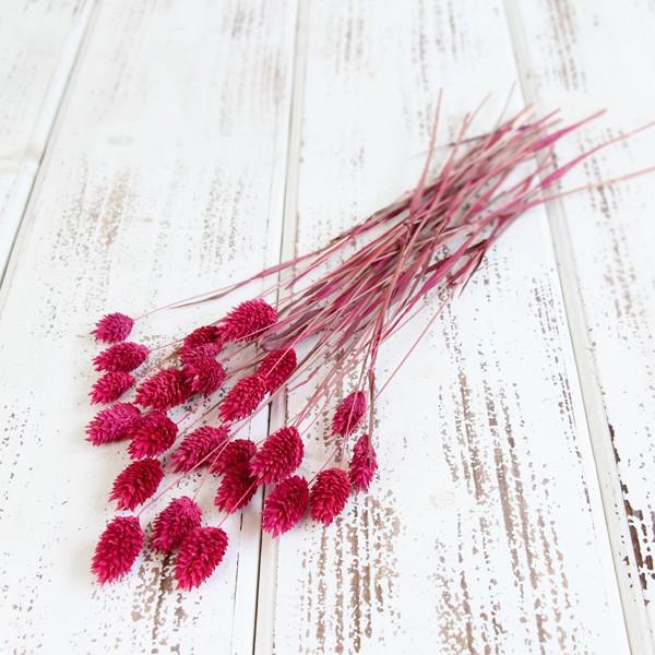 【内容量】約20g【商品仕様】全長約25~55cm※画像と異なる全長で入荷する場合がございます。( allp5 )(10_dras)( dryear ) ドライフラワー スワッグ ブーケ ドライフラワー花束 ドライフラワースワッグ リース ...