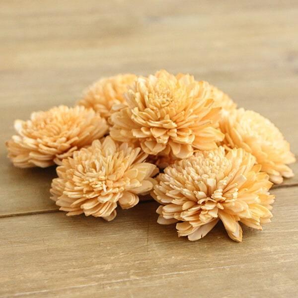 ハンドメイドフラワー 花材》☆即日出荷☆東方貿易 ソーラーダリア・6cm オーク ドライフラワー ソーラー ハンドメイドフラワー 花 花材 素材 :tbo-166-13:造花ドライフラワー専門問屋花びし - 通販 - Yahoo!ショッピング ハンドメイドフラワー 花材》☆即日出荷☆東方貿易 ソーラーダリア・6cm オーク ドライフラワー ソーラー ハンドメイドフラワー 花 花材 素材 :tbo-166-13:造花ドライフラワー専門問屋花びし - 通販 - Yahoo!ショッピング
