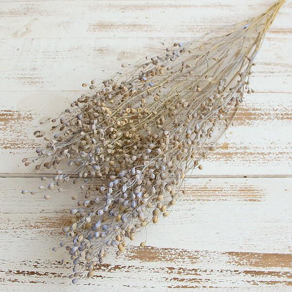 ドライフラワー 即日出荷 東方貿易 レピデューム ラベンダー Tbo 302 84 造花ドライフラワー専門問屋花びし 通販 Yahoo ショッピング