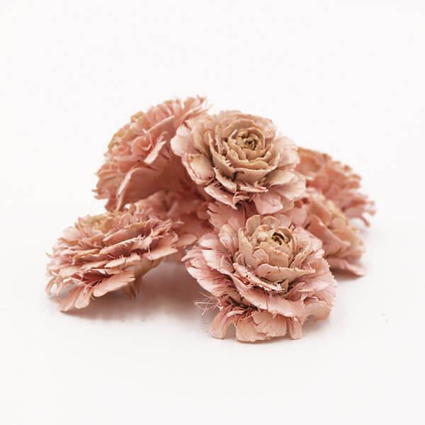 ドライフラワー 花材 即日出荷 シダーローズ ライトピンク 実