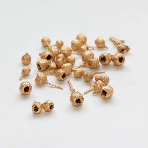 【商品仕様】実径約1~1.8cm/約30g【お伝えしたいこと】※木の実は自然素材の性質上、割れや欠け・潰れが含まれる場合があります。( 10_dras )( allp5 )雫のような形が特徴的なブルーマリーの木の実。アレンジやリースに彩りを...