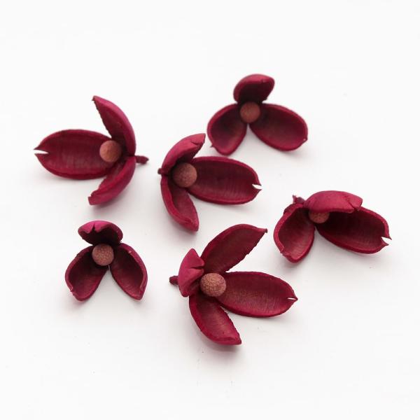 【商品仕様】花径 約3.5~6cm約6個入り( allp5 )パッと開いた姿が可憐なチクラシアという木の実でできたハンドメイドフラワーです。材料の木の実の個体差によって開き具合や花弁の数が異なり、ひとつひとつが持つ個性豊かな表情を楽しめます...