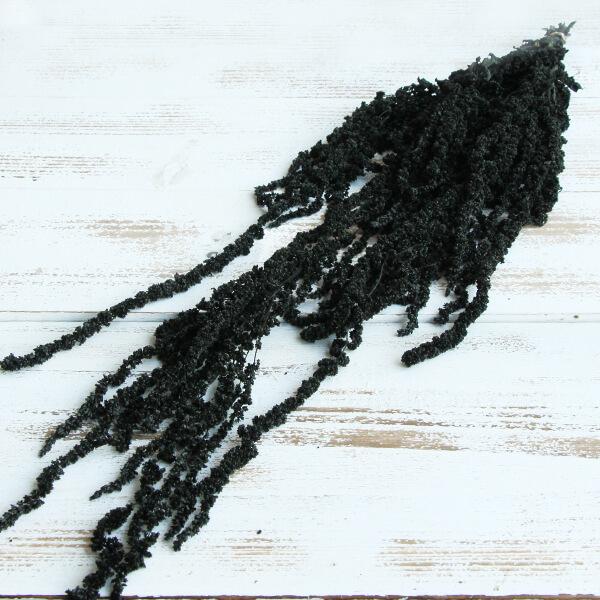 ドライフラワー 花材 即日出荷 東方貿易 アマランサス ブラック ドライフラワー スワッグ ブーケ ドライフラワー花束 花束 リース アレンジ Tbo 504 99 造花ドライフラワー専門問屋花びし 通販 Yahoo ショッピング