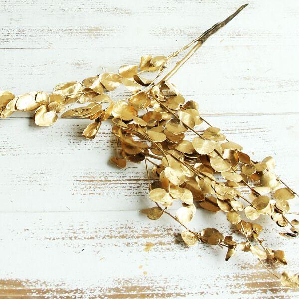 ドライフラワー 花材 即日出荷 東方貿易 小葉ユーカリ ゴールド リーフ 葉 ドライフラワー スワッグ ブーケ ドライフラワー花束 花束 リース Tbo 554 08 造花ドライフラワー専門問屋花びし 通販 Yahoo ショッピング