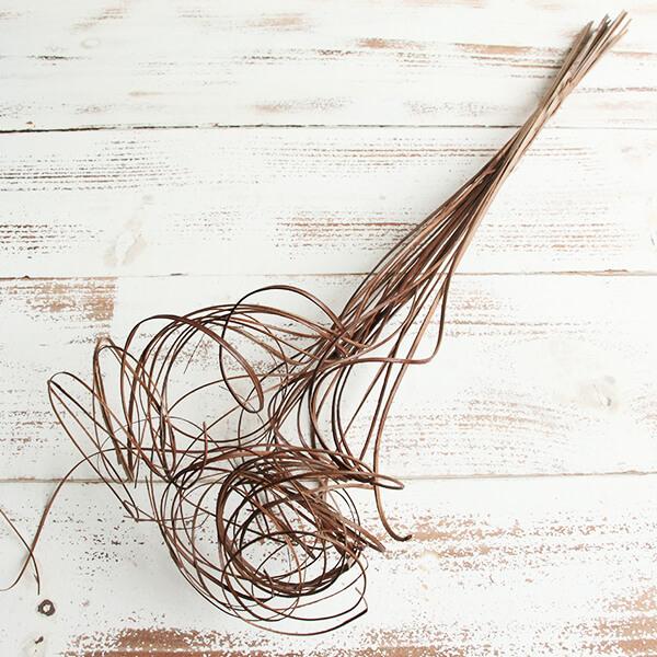 【商品サイズ】全長 約65cm( allp5 )(10_dras)( intrdry )上部のクルクルで動きを演出してくれる花材です!ディスプレイやスワッグなどでも大活躍。カール部分だけをカットすれば小さめアレンジにも。( brwnbeig...