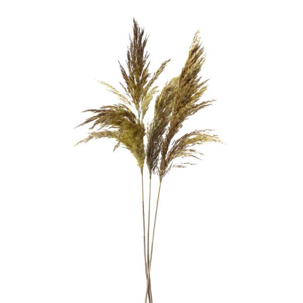 【商品仕様】全長約90~100cm【お伝えしたいこと】※ドライ加工した商品の特性上、穂が落ちやすくなっております。ヘアスプレーや当店で取り扱っているネオ・ルシールを使っていただくと落ちやすさが軽減されますので、気になる場合はお試しください。...