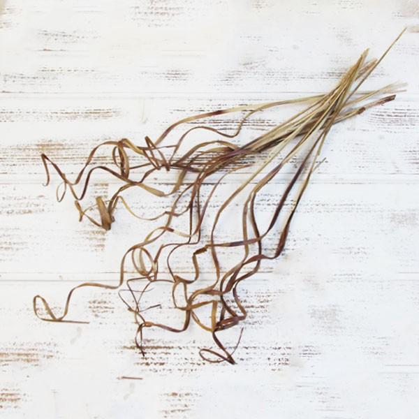 【商品サイズ】全長35~60cm約15本入り※1束の全長は約60cm程度ですが1束に含まれる1本1本の全長に個体差がございます。ご了承のうえ、お買い上げください。( allp5 )(10_dras)( intrdry )スワッグのアクセント...