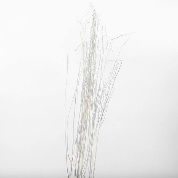 【商品仕様】全長約100~110cm約3本【お伝えしたいこと】※大変細い枝のため、枝先に多少の折れが含まれます。( allp5 )(10_dras)お部屋のインテリアとして投げ入れるだけでも様になる花材です。長く細い枝が特徴的でディスプレイ...