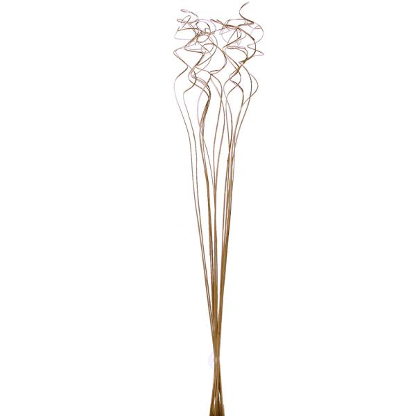 【商品仕様】約15本/束全長約60~70cm( 10_dras )( allp5 )( intrdry )上部のクルクルで動きを演出してくれる花材です!ディスプレイやスワッグなどで大活躍。カール部分だけをカットすれば小さめアレンジにも。( ...