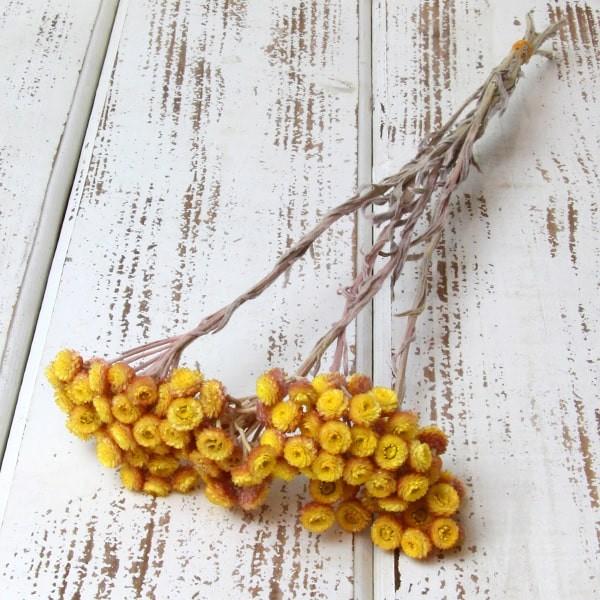 プリザーブドフラワー 即日出荷 東北花材 ソフトイモーテル イエローピンク プリザーブドフラワー スワッグ ブーケ ドライフラワー プリザ Tka 造花ドライフラワー専門問屋花びし 通販 Yahoo ショッピング