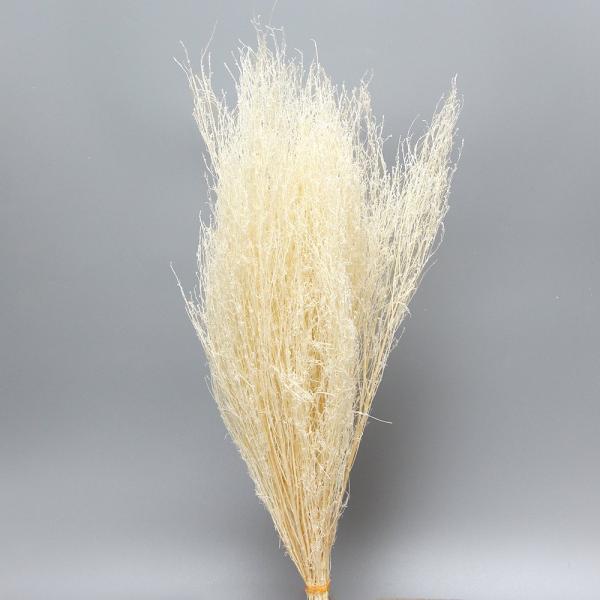 【商品仕様】全長 約50~55cm前後1束約50g入( 10_dras )( allp5 )( intrdry )これだけでシンプルに飾ってもインテリアになります。アレンジやスワッグ、リースなど幅広く活躍する花材です。特にスワッグにぴったり...