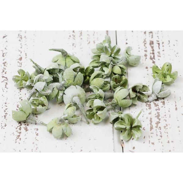 ドライフラワー 即日出荷 東北花材 バクリフラワー ミルキーグリーン Tka 造花ドライフラワー専門問屋花びし 通販 Yahoo ショッピング