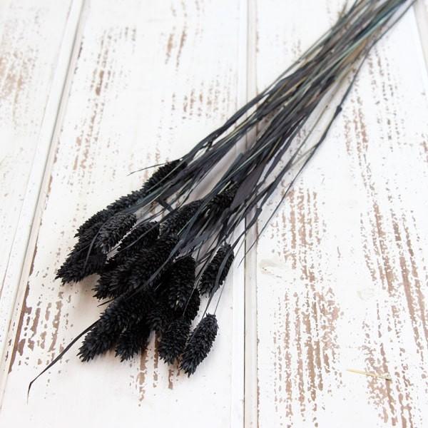 【商品サイズ】全長約40cm約15g( allp5 )(10_dras)( dryear )( bkgry )( dbridl ) 穂 ドライフラワー スワッグ ブーケ ドライフラワー花束 ドライフラワースワッグ リース アレンジ 花材 素...