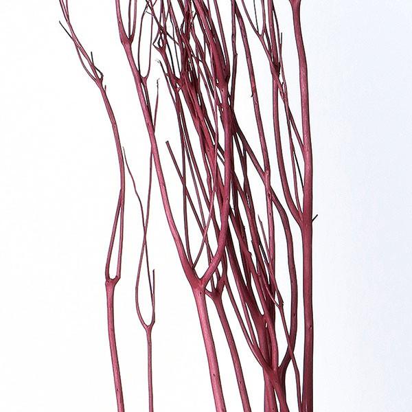 ドライフラワー 即日出荷 東北花材 ミツマタ ボルドー Tka 造花ドライフラワー専門問屋花びし 通販 Yahoo ショッピング