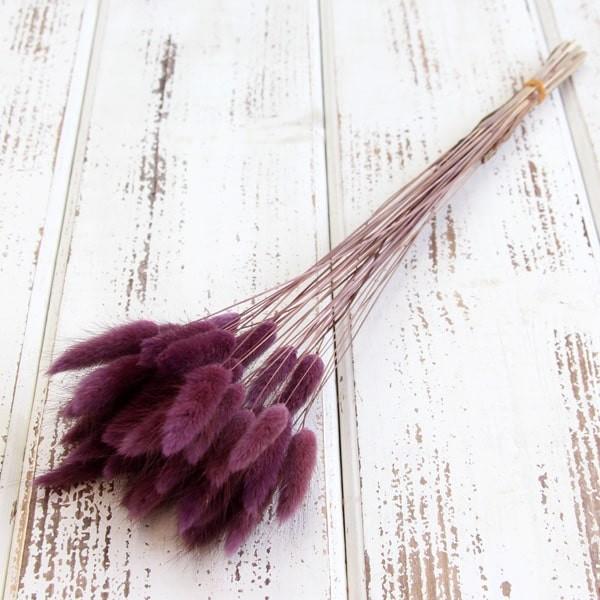 hCt[ ԍ o OX AeB[Np[v  hCt[ XbO u[P hCt[ԑ hCt[XbO ԍ 