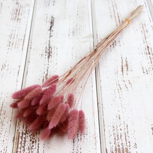 hCt[ ԍ o OX AeB[NsN  hCt[ XbO u[P hCt[ԑ hCt[XbO [X 