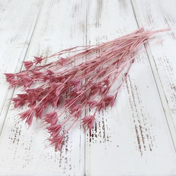 hCt[ ԍ o jQIG^XE~fB AeB[NsN hCt[ XbO u[P hCt[ԑ [X ԍ 