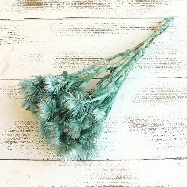 y|Cg5{ 11/03 09:59z hCt[ ԍ o Vo[f[W[~j OCbVu[ hCt[ XbO u[P ԑ DIY 