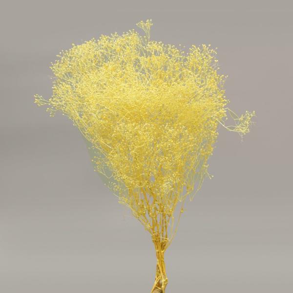 【商品仕様】全長約35cm約22g( allp5 )( rsn )やさしく明るいレモンイエローのプリザーブドフラワーのかすみ草です。季節をとわずお部屋の装飾に、ブライダルに幅広くお使い頂ける花材です。( yellowor ) かすみ カスミ...
