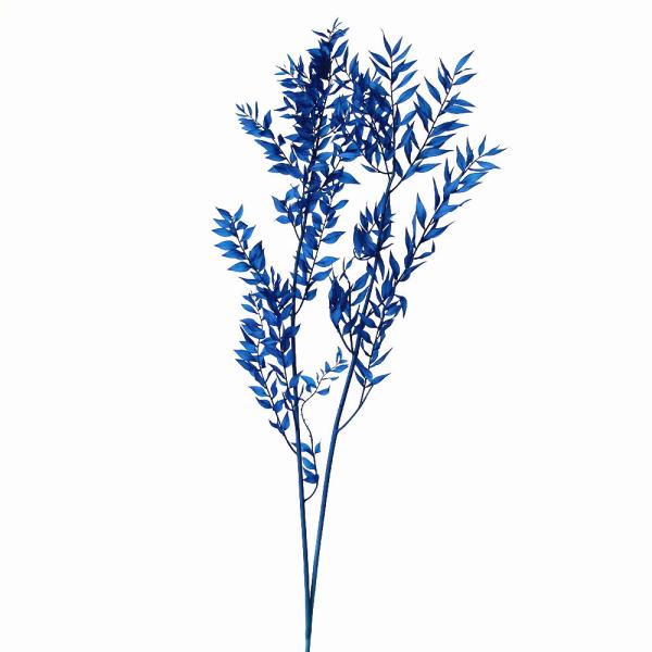 【商品仕様】全長 約50~70cm内容量 約25g( 10_202308 )(10_dras)人気グリーンのラスカスが鮮やかなブルーに染まりました。カットしてハーバリウム、アロマワックスサシェ、レジン封入にもオススメの花材です。( blue...
