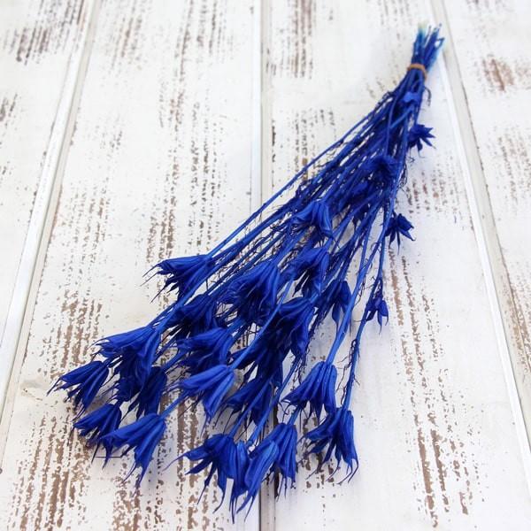 ドライフラワー 花材 即日出荷 東北花材 ニゲラオリエンタリス 海 ドライフラワー スワッグ ブーケ ドライフラワー花束 花束 リース 花材 Tka 造花ドライフラワー専門問屋花びし 通販 Yahoo ショッピング