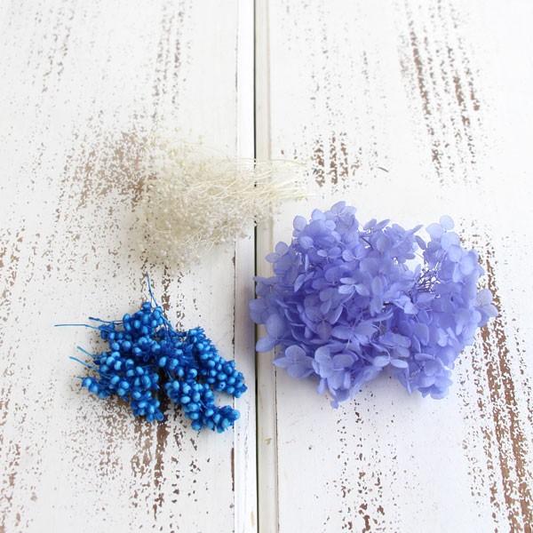 【商品内容】ソフトあじさいアナベル パープリッシュブルーソフトミニカスミ ホワイトインディアンコーン 海( allp5 )(10_dras)( rsn )ハーバリウムやアロマワックスサシェなどに使いやすい小ぶり花材がちょっとずつ入ったアソー...