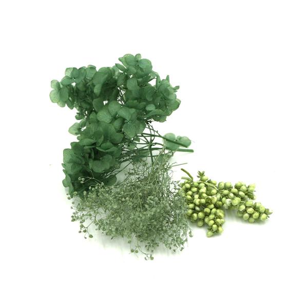 【商品仕様】内容例:ソフトあじさいアナベル・ソフトミニカスミ・インディアンコーン(3種アソート)( allp5 )(10_dras)( rsn )3種の花材が少量ずつ入ったアソート商品です。アレンジやリース、ワックスサシェやハーバリウム、髪...