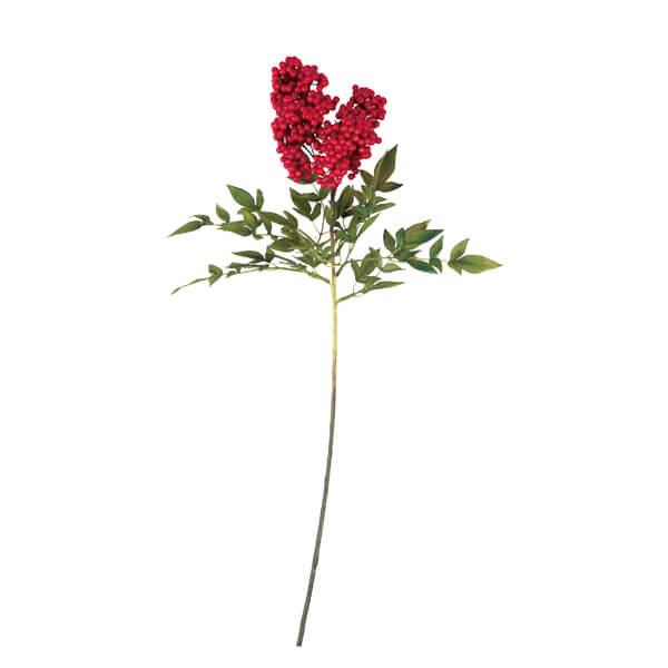 y|Cg5{ 11/03 09:59z   Ƃ悹i V CeA CeAt[ tFCNt[ VNt[ tFCNO[ roH|