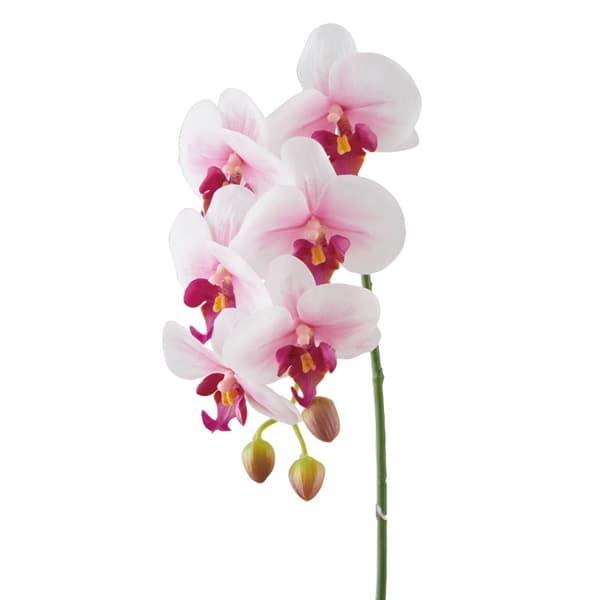 【商品仕様】(素材)全長67cm花径7~8cm(ポリエステル・ポリエチレン・ワイヤー)( allp5 ) インテリア インテリアフラワー フェイクフラワー シルクフラワー インテリアグリーン フェイクグリーン アートフラワー イミテーション...