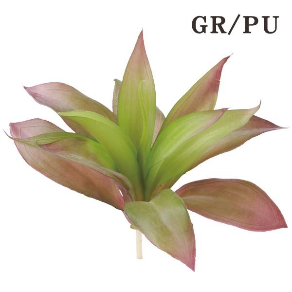  O[ A Ƃ悹i GPxA GAvc TbJe T{e CeA tFCN O[ p[c tFCNt[ roH|