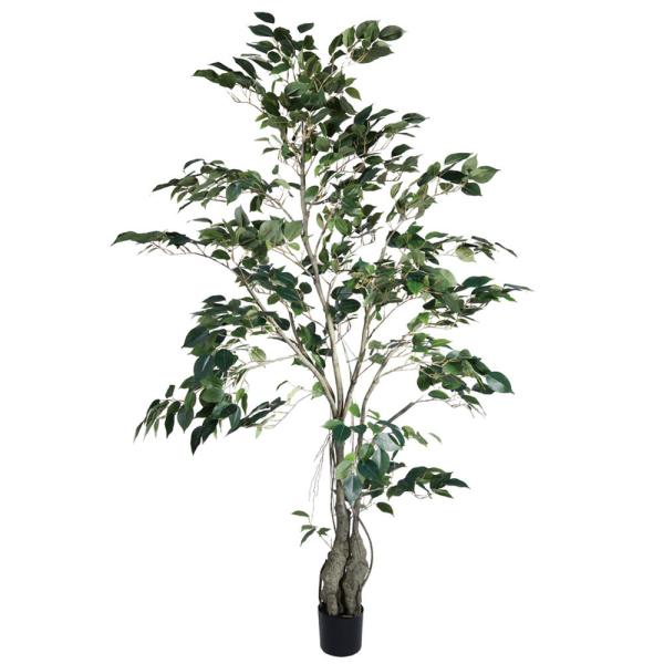 yP5{ 12/02 09:59z tFCNO[ ϗtA Ƃ悹i NVbNtBJX150cm ϗtA 1.5m  t@CJX lHϗt  t roH|