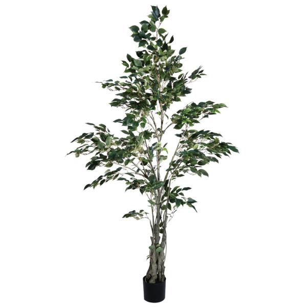 yP5{ 12/02 09:59z tFCNO[ ϗtA Ƃ悹i NVbNtBJX180cm ϗtA 1.8m  t@CJX lHϗt  t roH|